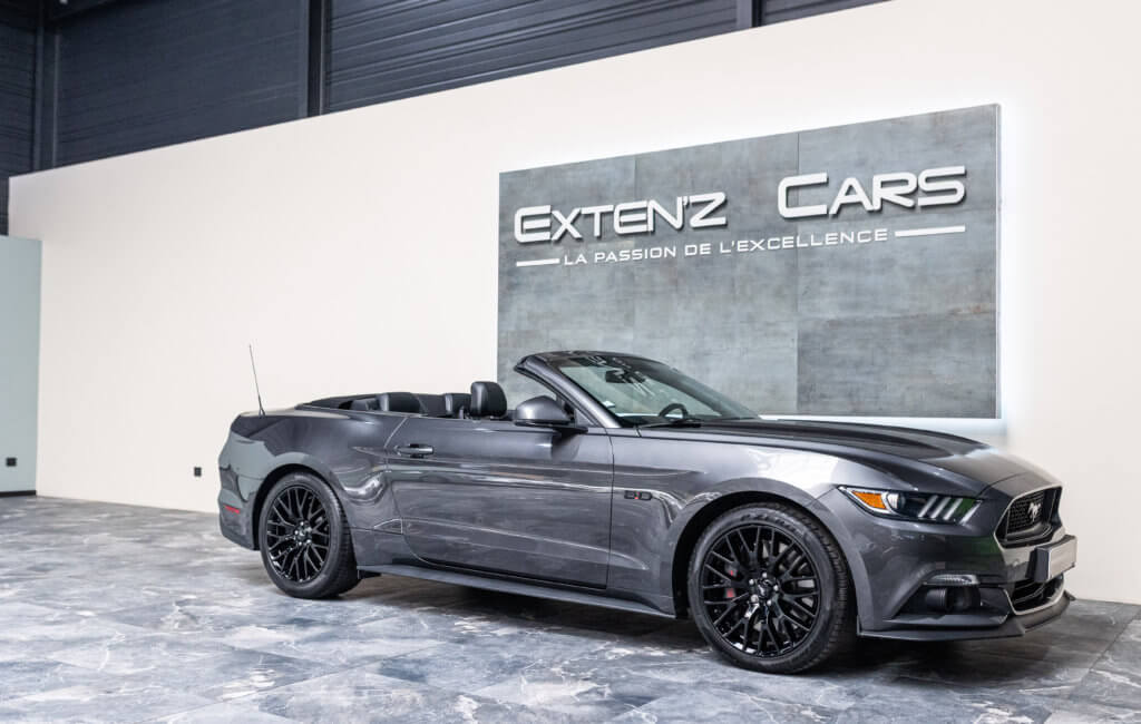 Mustang Cab Gris Kebabier 3-4