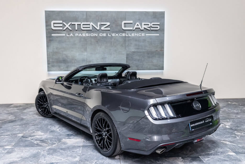 Mustang Cab Gris Kebabier 3-4 ar g