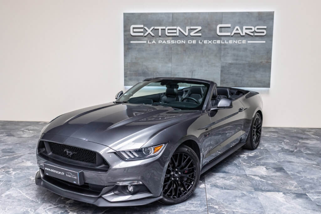 Mustang Cab Gris Kebabier 3-4 av g