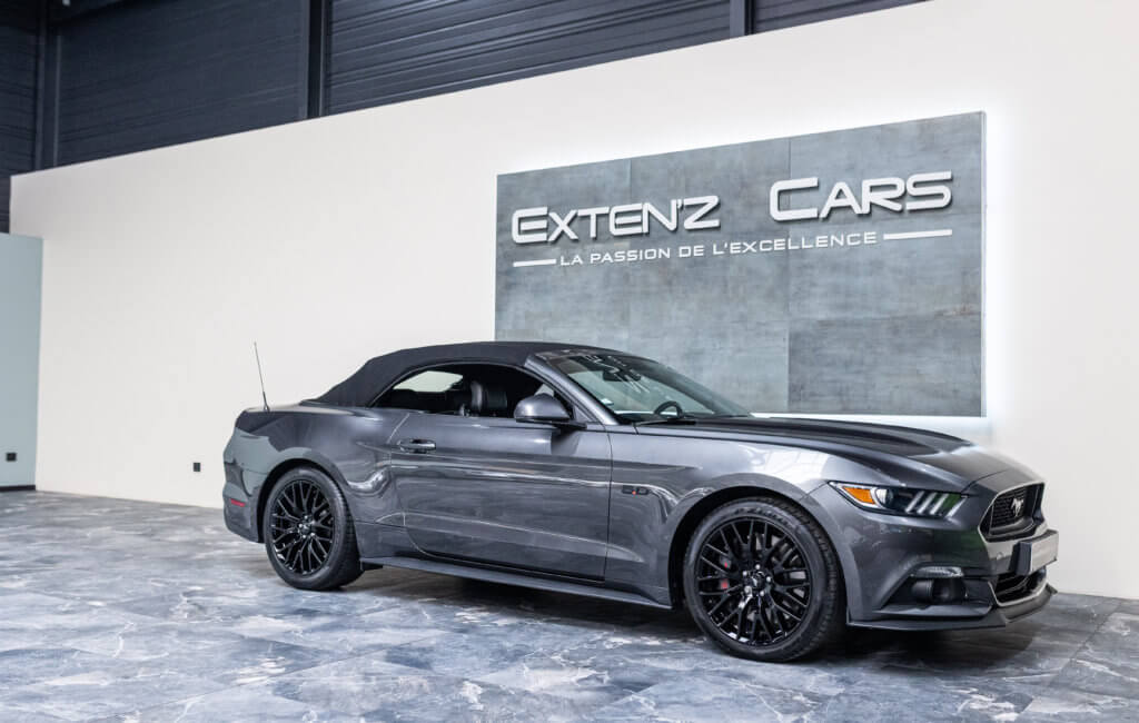 Mustang Cab Gris Kebabier 3-4 capote