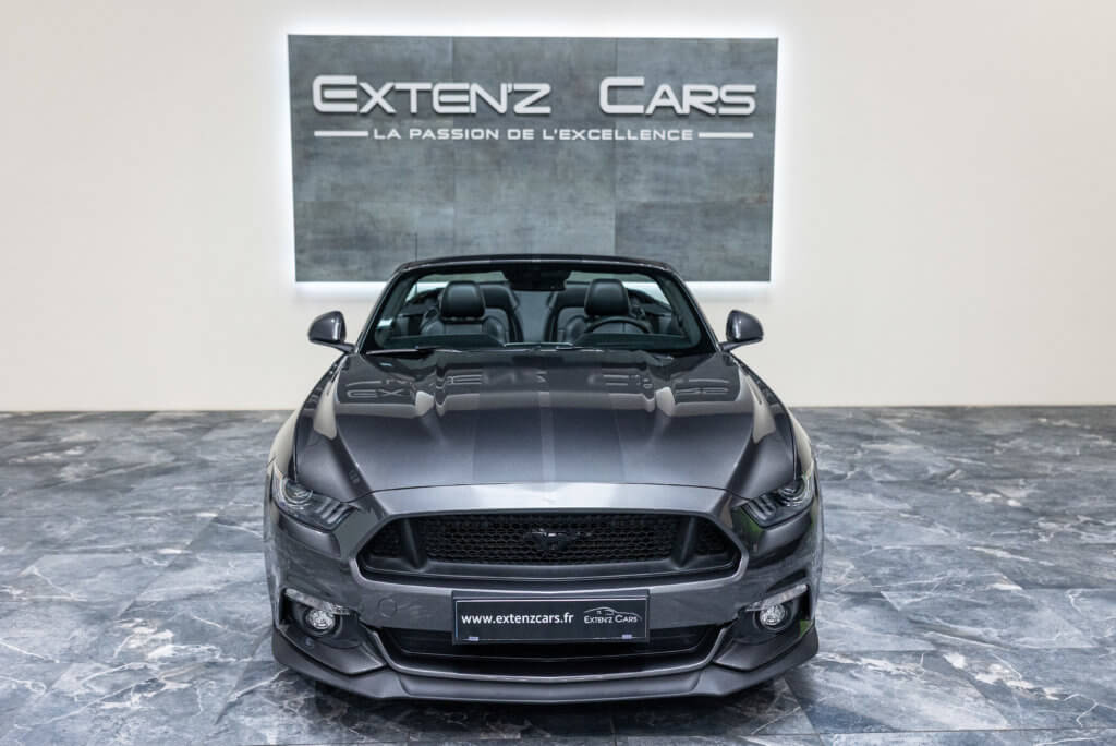Mustang Cab Gris Kebabier face