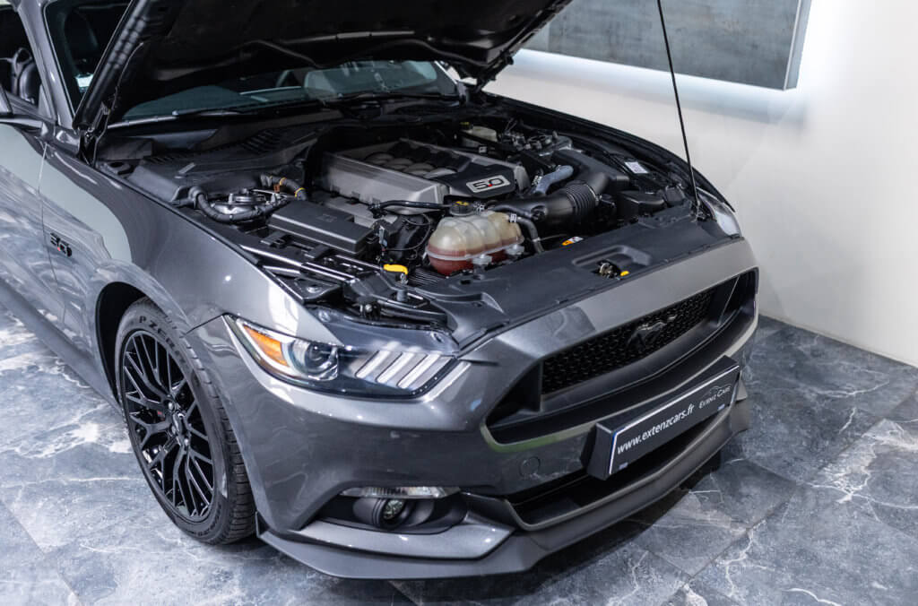 Mustang Cab Gris Kebabier moteur