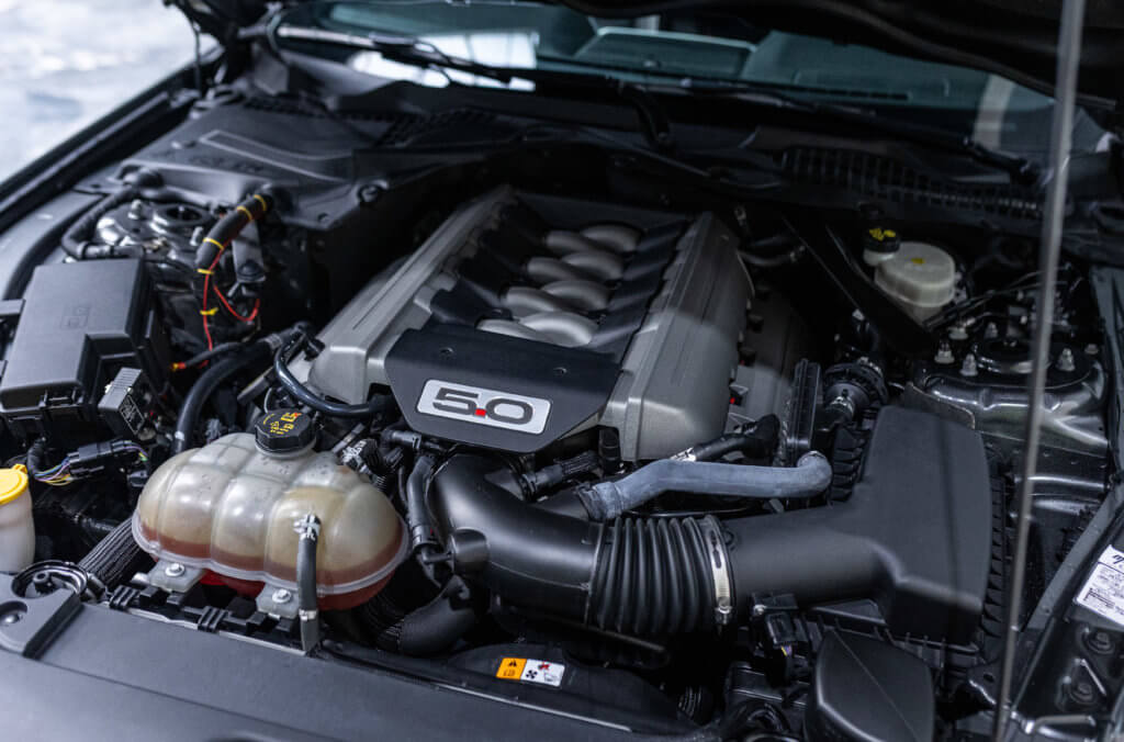 Mustang Cab Gris Kebabier moteur 3