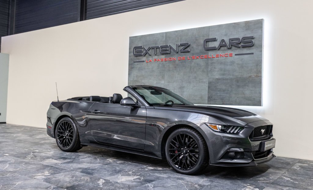 MUSTANG CAB GRISE MAGNETIC V8 SANS BANDES 3-4 decapot