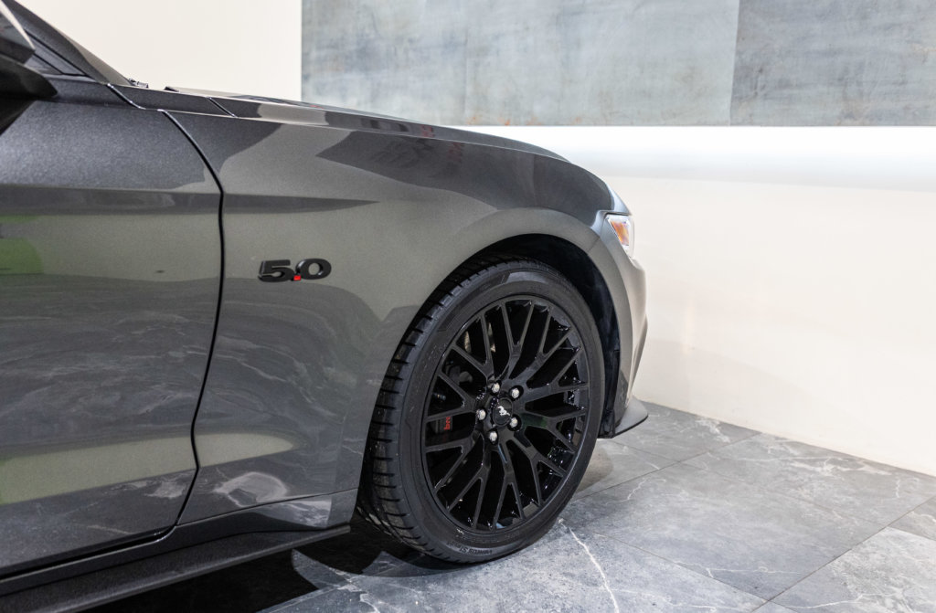 MUSTANG CAB GRISE MAGNETIC V8 SANS BANDES Interieur 11