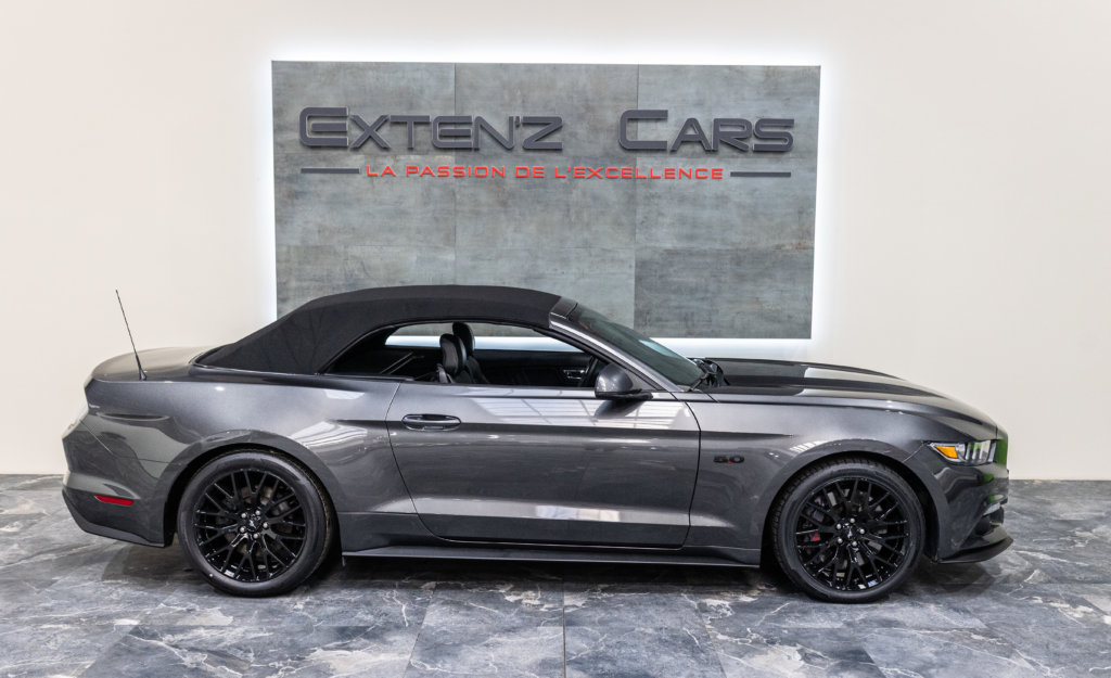 MUSTANG CAB GRISE MAGNETIC V8 SANS BANDES lateral capot