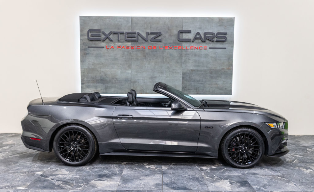 MUSTANG CAB GRISE MAGNETIC V8 SANS BANDES lateral decapot