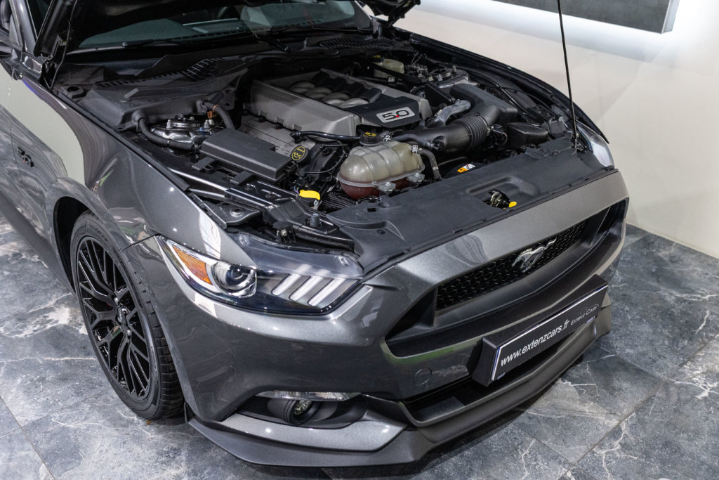 MUSTANG CAB GRISE MAGNETIC V8 SANS BANDES moteur