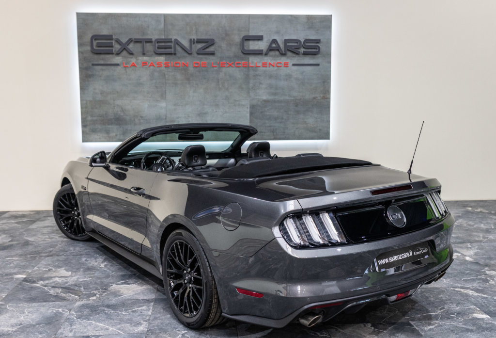 MUSTANG CAB GRISE MAGNETIC V8 SANS BANDES 3-4 ar g