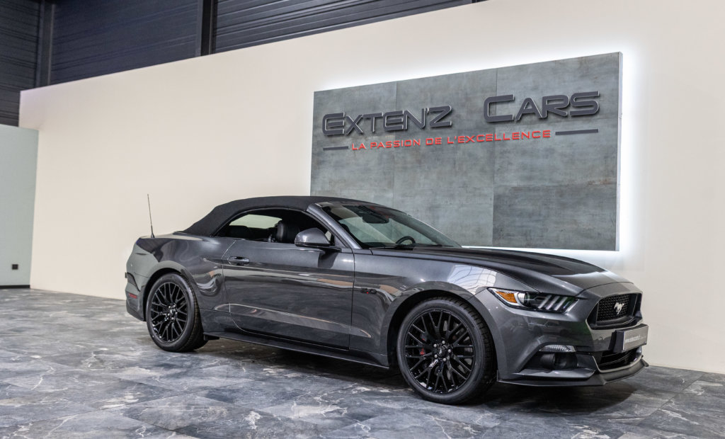 MUSTANG CAB GRISE MAGNETIC V8 SANS BANDES 3-4 capot