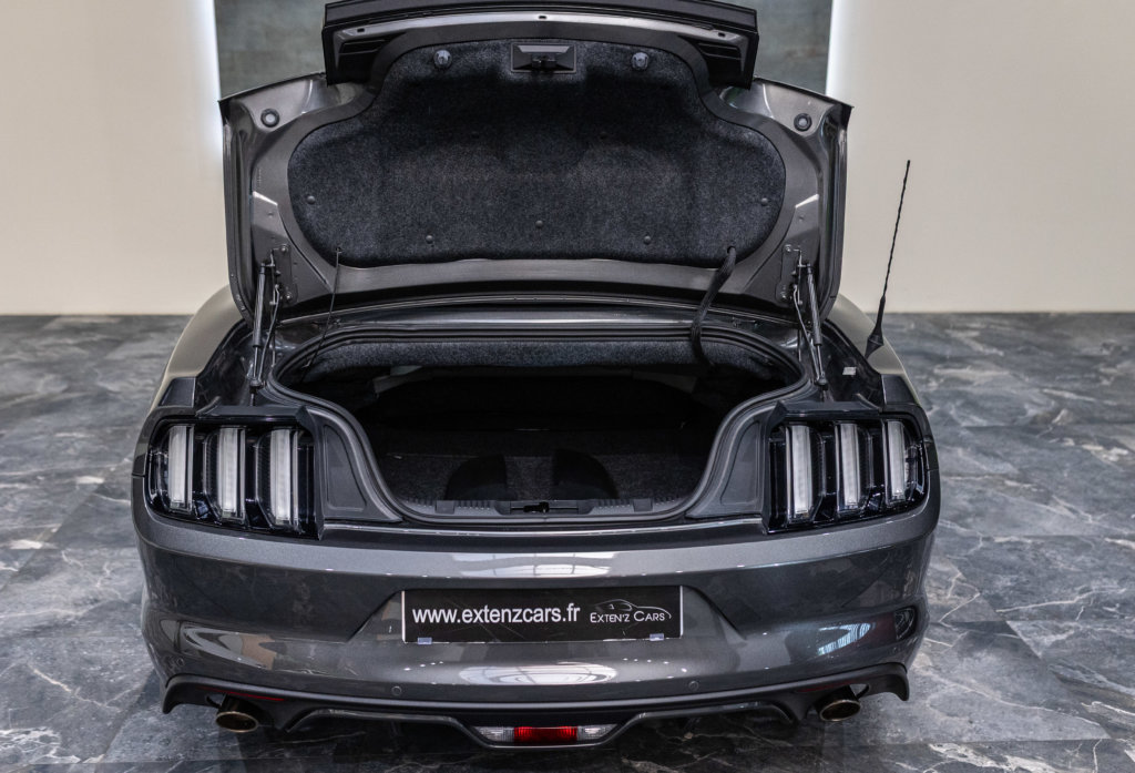 MUSTANG CAB GRISE MAGNETIC V8 SANS BANDES COFFRE