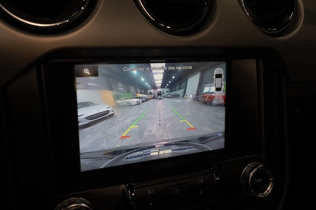 MUSTANG CAB GRISE MAGNETIC V8 SANS BANDES Interieur 38