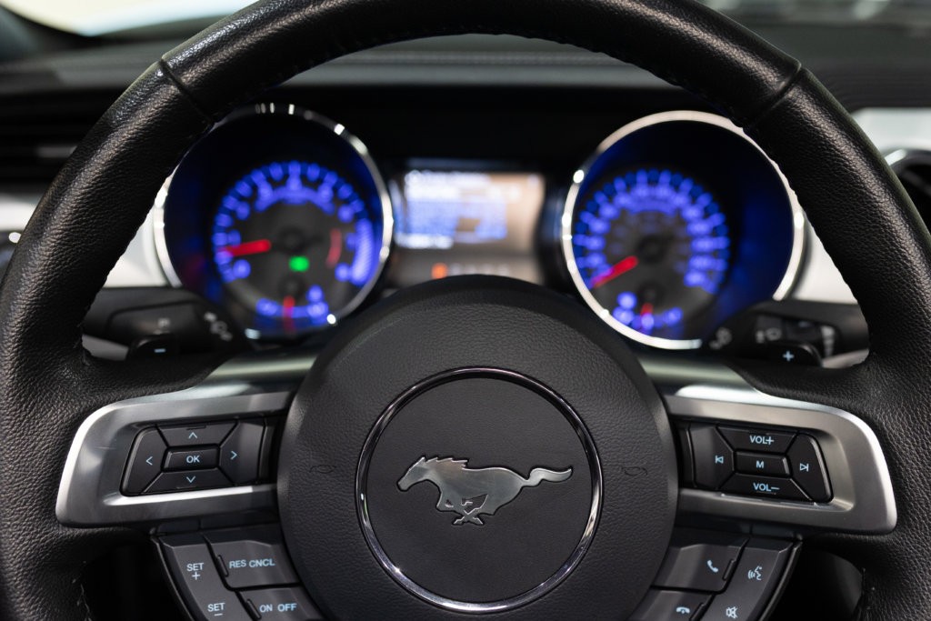 MUSTANG CAB GRISE MAGNETIC V8 SANS BANDES Interieur 39