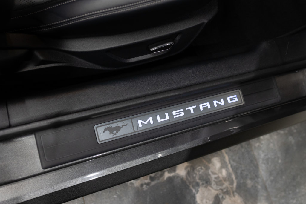 MUSTANG CAB GRISE MAGNETIC V8 SANS BANDES Interieur 9