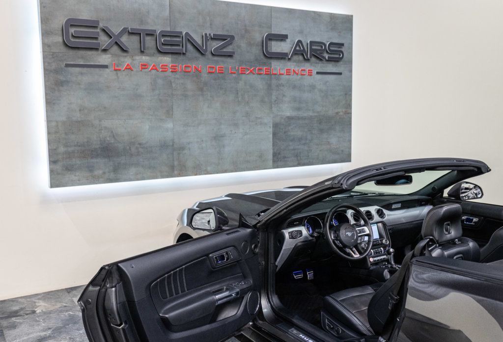 MUSTANG CAB GRISE MAGNETIC V8 SANS BANDES Porte