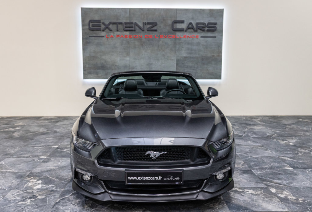 MUSTANG CAB GRISE MAGNETIC V8 SANS BANDES face