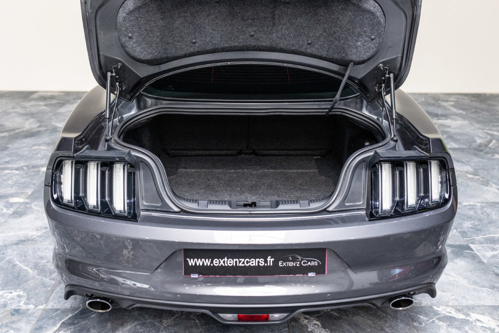 Mustang V8 Gris Magnetic Sync 2 Echapp BORLA Coffre