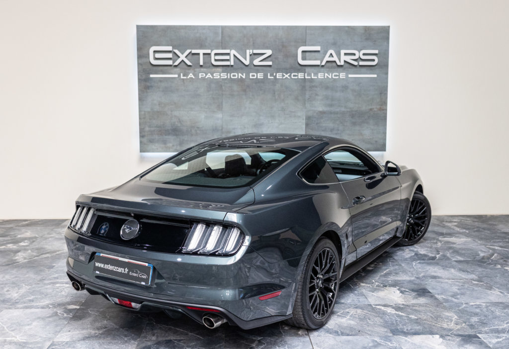 Mustang Guard Green 2.3 3-4 ar d
