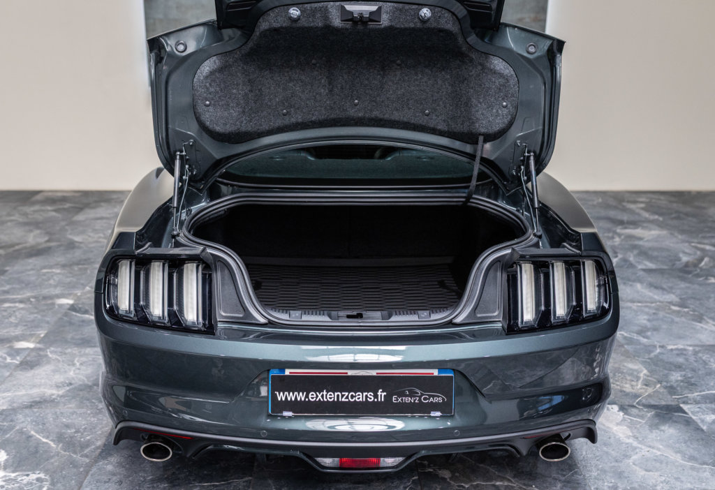 Mustang Guard Green 2.3 Coffre