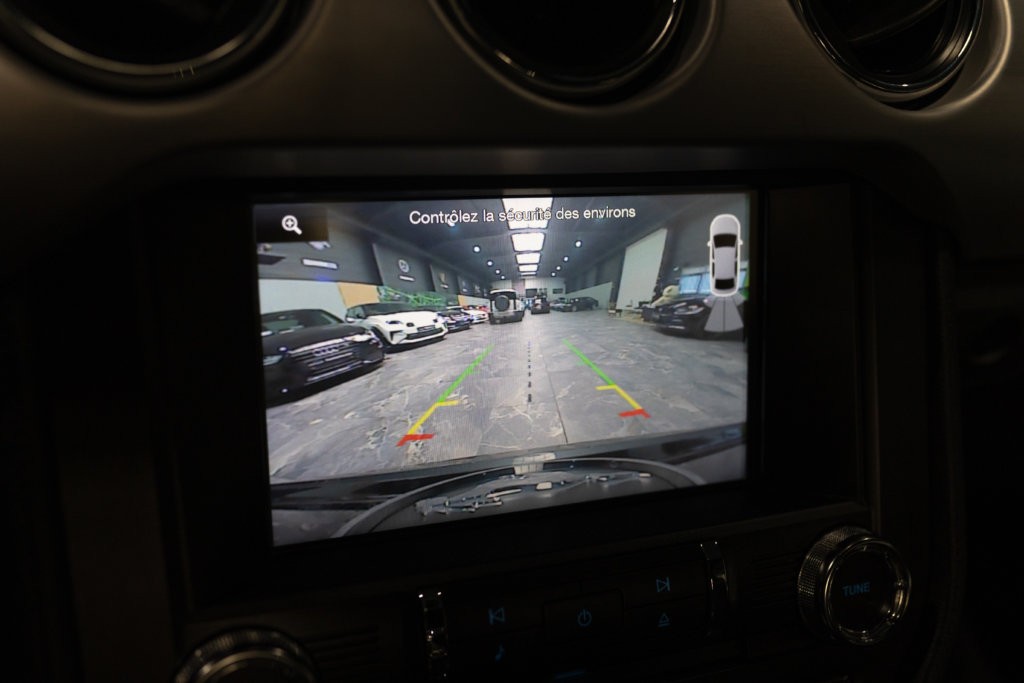 Mustang Guard Green 2.3 Interieur 26
