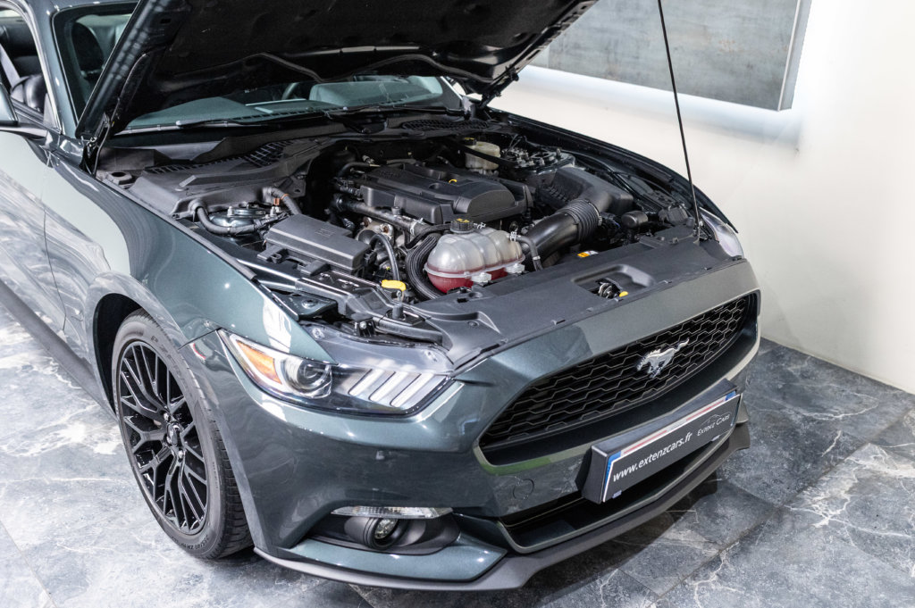 Mustang Guard Green 2.3 Moteur
