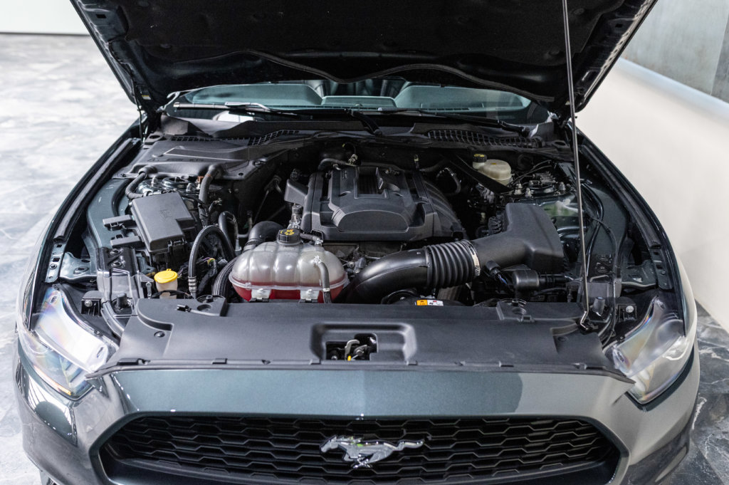 Mustang Guard Green 2.3 Moteur 2