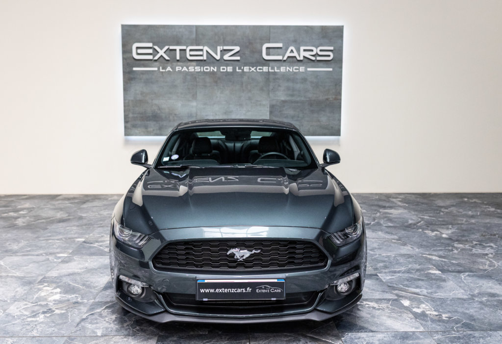 Mustang Guard Green 2.3 face