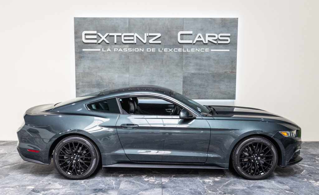Mustang Guard Green 2.3 lateral
