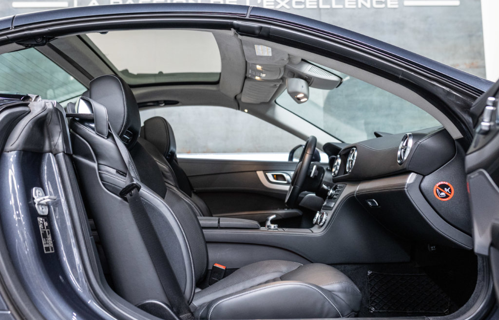 SL500 Grise toit deteinter 2