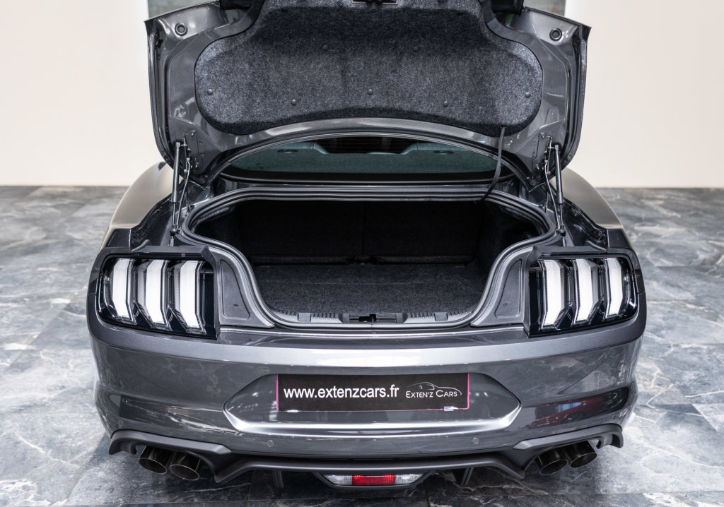 Mustang 2019 Grise Coffre