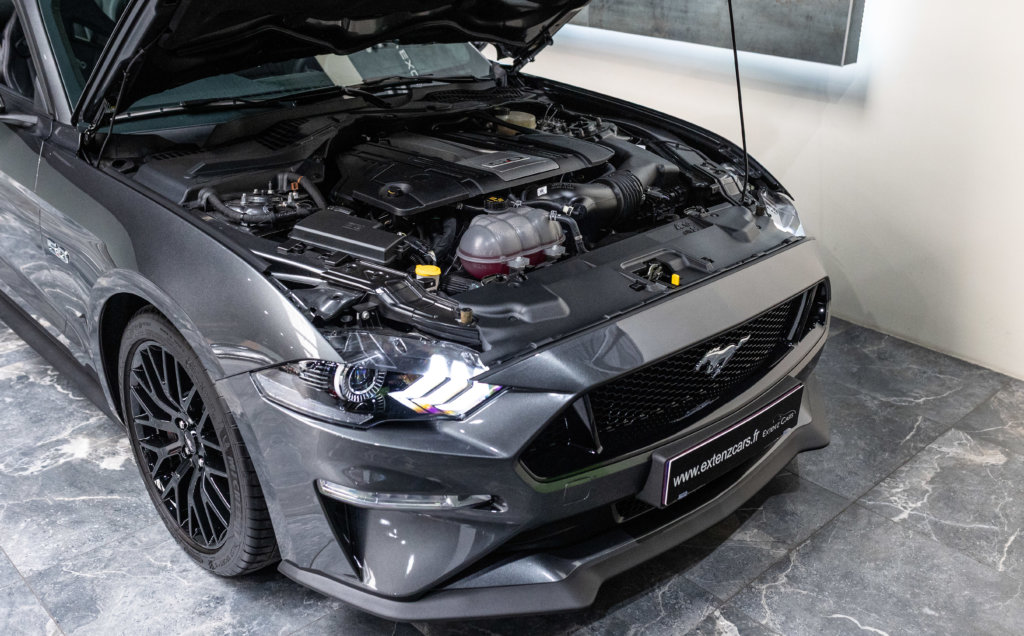Mustang 2019 Grise Moteur