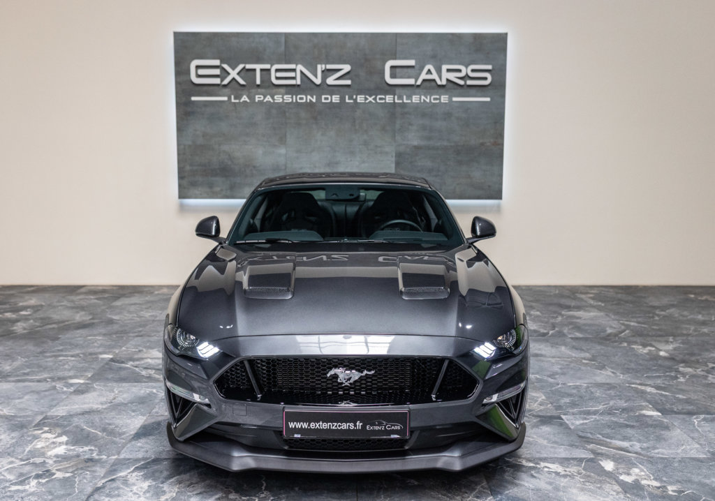 Mustang 2019 Grise face
