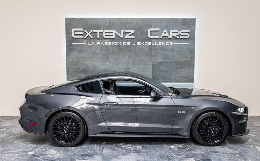 Mustang 2019 Grise lateral