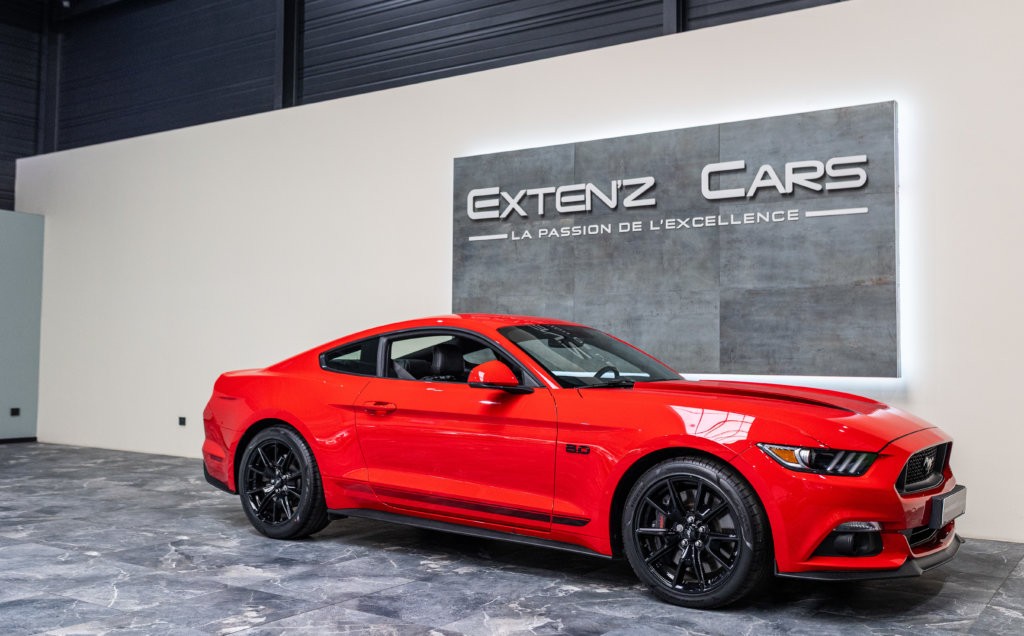 Mustang Rouge Black Shadow 3-4