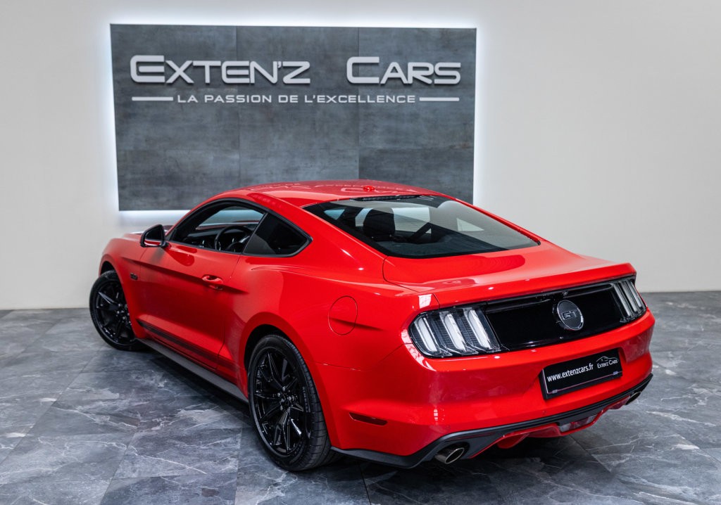 Mustang Rouge Black Shadow 3-4 ar g