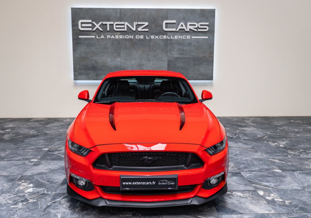 Mustang Rouge Black Shadow face