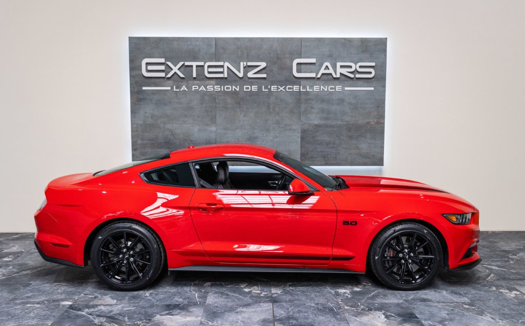 Mustang Rouge Black Shadow lateral